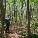 (주)청우엔지니어링 이미지