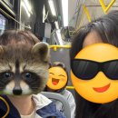 2405 | NY&amp;DC Day4 | 나이아가라폭포