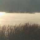 맹자에게 배우는 진심 이미지