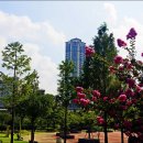 상동호수공원 이미지