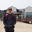 시도시도