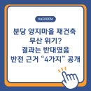 양지마을3로 4-15 | 양지마을 재건축, 분위기 완전히 달라졌다｜2025 추진 흐름 정리