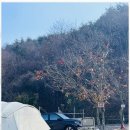 마이산가자캠핑장
