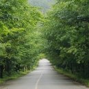 성계자동차 이미지