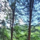 워터힐링 이미지