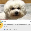 지구씨
