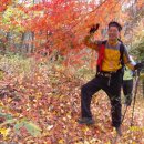 고양중학교 이미지