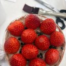 종로-연건-종로-연-053 | [대구] 원데이 디저트, 가볍게 시작했는데 취미 되어버린 후기