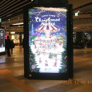 팔거천변 산책로4 | 2025년 을사년 12월 잠실 석촌호수공원 둘레길 산책로 탐방