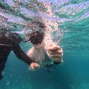 어반 탐스 피시 카페 | 엄마랑 세부 여행