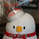 더벤티기흥