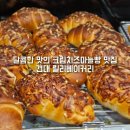 릴리펫 | 건대입구 빵집 릴리베이커리 건대 빵지순례 소금빵 허니버터 마늘빵 내돈내산 후기