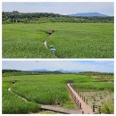 노을빛 정원 이미지