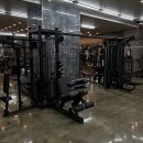 머슬컴퍼니 이미지