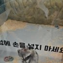 수달앤쥬 이미지