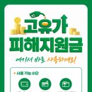 에스테틱고운
