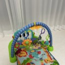 굿프라이스 | 아기장난감 육아용품 대여하기) 아기와나 피셔프라이스 아기체육관 내돈내산 후기