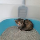 너와나,묘연 이미지