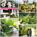 참빛공원 체육시설 이미지