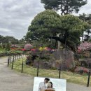 산책갈까 | 17개월 아기랑 파주 나들이 어디 갈까? | 벽초지 수목원 산책 후기