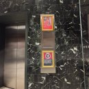 피스트짐 | [시드니맛집]SkyFeast 스카이피스트_예약/뷔페먹으면서 360도 회전하는 전망/야경구경하기