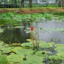선산보건소 화장실 | 구미 지산 샛강 생태공원(2)