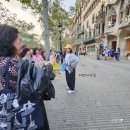 [바르셀로나 여행] followmetour(팔로우미투어) _ 가우디 프리미엄 버스투어 후기