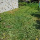 중전마을회관 이미지