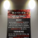 마야생양고기식육식당 - 남구 유엔평화로41번가길 42 | 포항 죽도 파출소 뒤편 양고기 맛집, 마야생양고기 포항점 후기