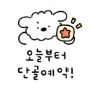 아이리스PC soul 이미지