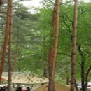 갈천오토캠핑장 이미지