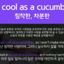 예리엘잉글리쉬전주점 이미지