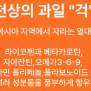 슈퍼푸드컴퍼니 이미지