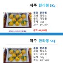 한라봉 3kg 5kg 제주감귤체험농장 제주옥림 이미지