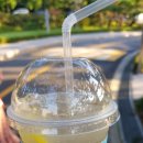 솔바람뜰(국립현대미술관) 이미지