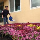 오금2리 이미지