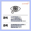 온누리미디어