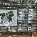 봉산약수터 | &#34;손목닥터 9988&#34; 서울 둘레길 16코스 봉산 앵봉산코스 생생 후기