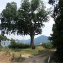 동월경로당 이미지