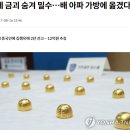 밀수.........펌 이미지