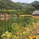 개나리낚시공원