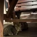 팔봉글램핑 | 글며들었다... | 충주팔봉글램핑 | 수주팔봉