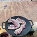 캠핑중DOG 이미지