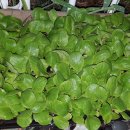 노은농약사 이미지