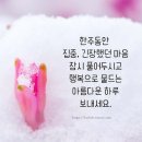 오거리약국 이미지