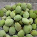 골짜구니농장1 이미지