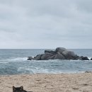 홍길동전 이미지