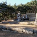 삼한국대부인순흥안씨묘 티스토리