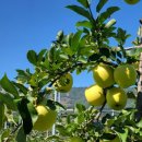 승진농장 이미지