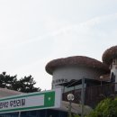 케이팝민박 이미지